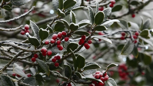 Días de frío y niebla en Ponferrada y El Bierzo