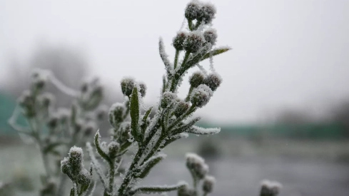 Días de frío y niebla en Ponferrada y El Bierzo