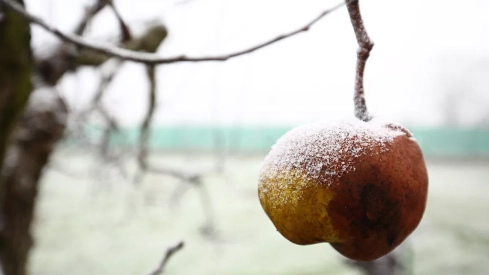 Días de frío y niebla en Ponferrada y El Bierzo