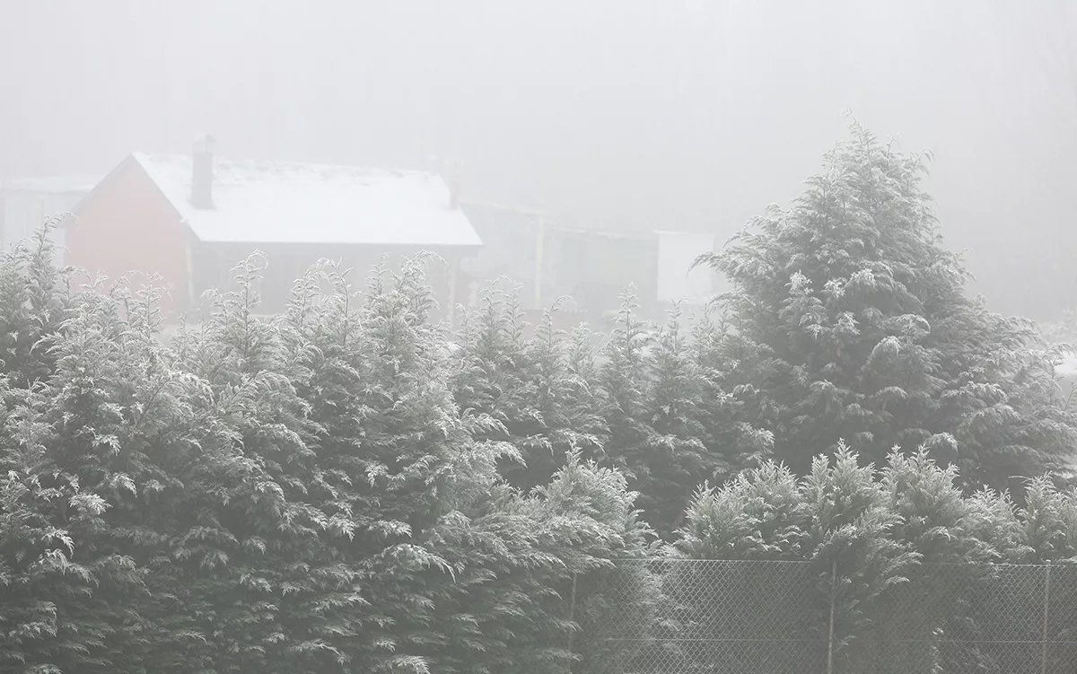 Días de frío y niebla en Ponferrada y El Bierzo