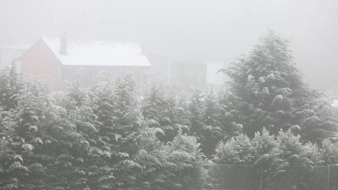 Días de frío y niebla en Ponferrada y El Bierzo