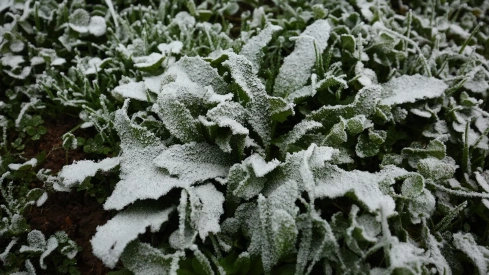 Días de frío y niebla en Ponferrada y El Bierzo