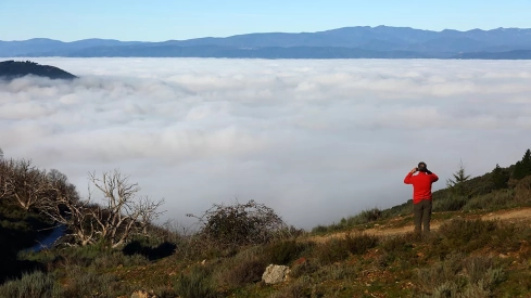 Días de frío y niebla en Ponferrada y El Bierzo