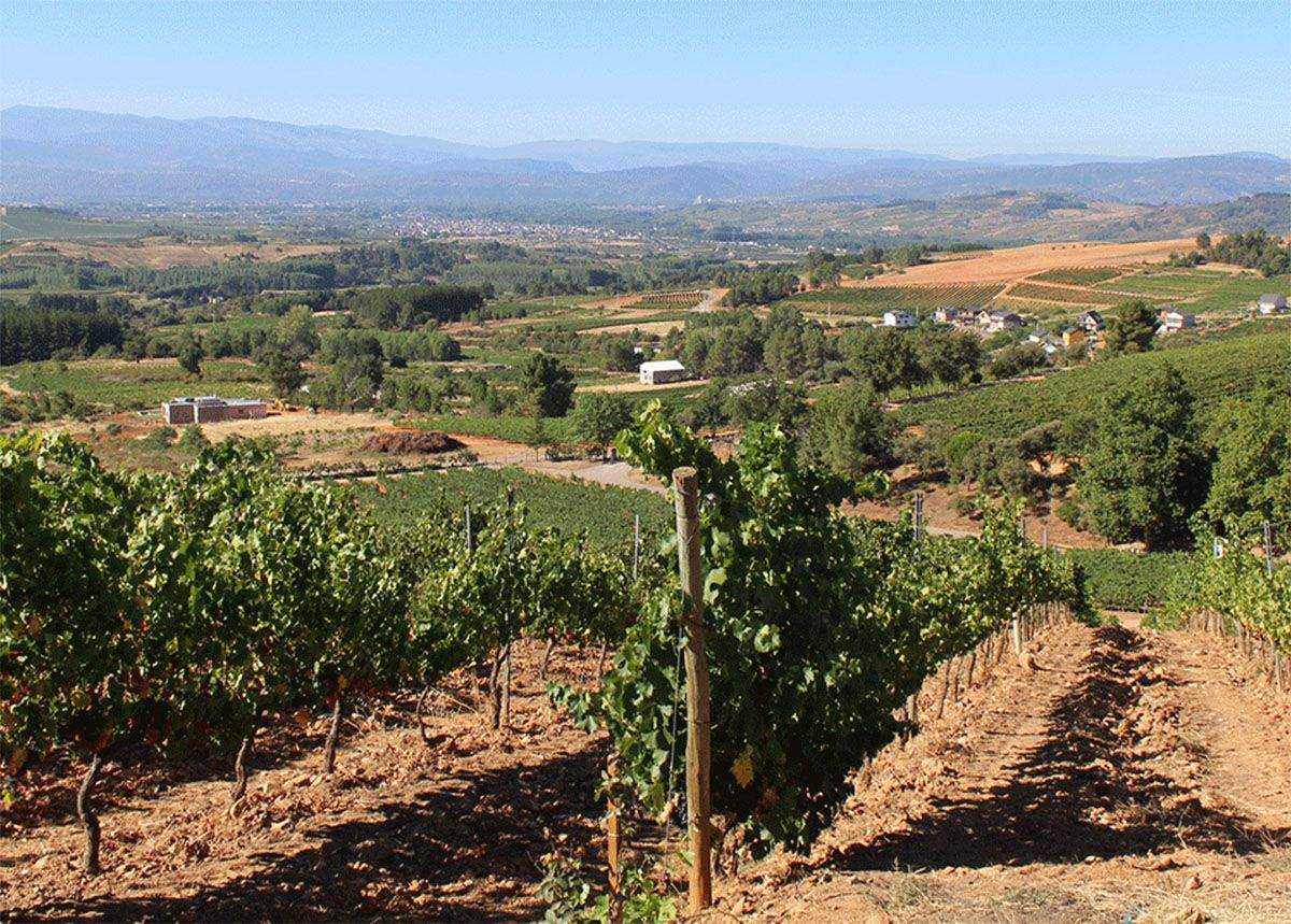 campo bierzo campo bierzo