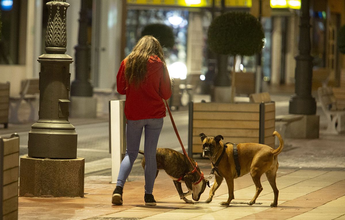 Perros en Ponferrada. Un ciberataque a SIACYL afecta a los titulares de mascotas de Castilla y León para cometer delitos de suplantación de identidad 