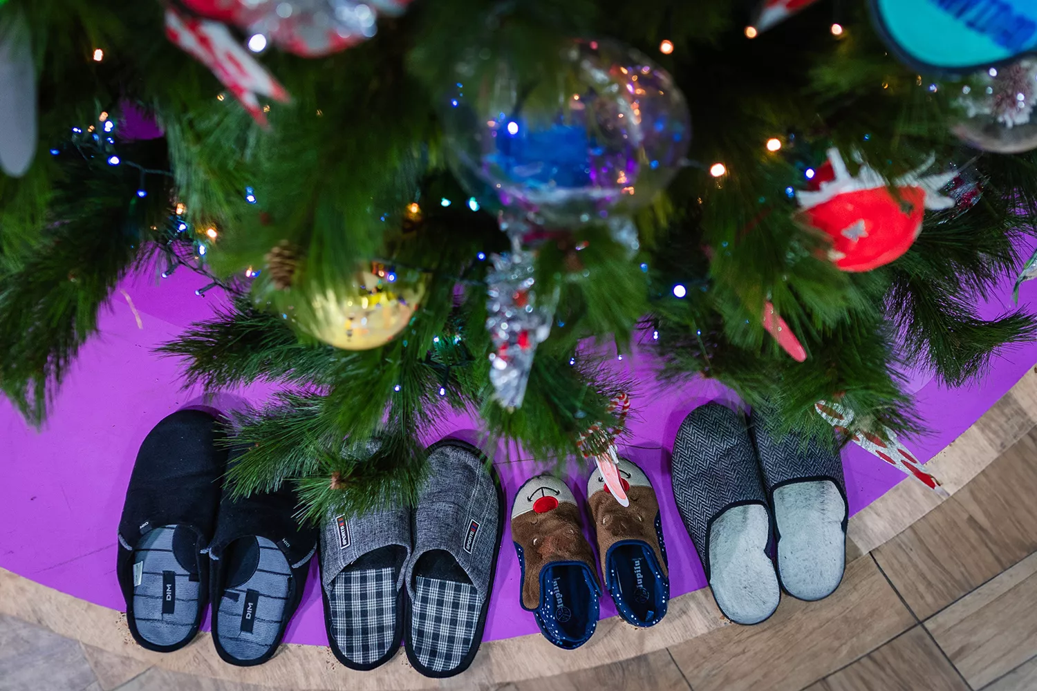 Navidad en casa de una familia de acogida