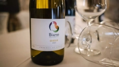 Vino del Bierzo, DO Bierzo