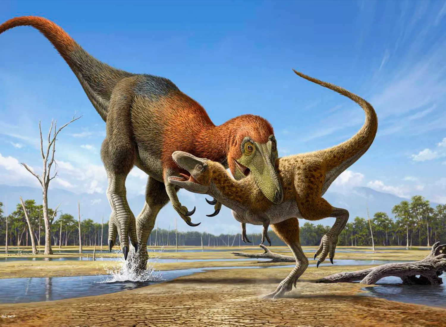 Fósiles que se creían de Tyrannosaurus rex son una especie distinta de dinosaurio más pequeño