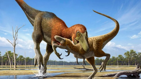 Fósiles que se creían de Tyrannosaurus rex son una especie distinta de dinosaurio más pequeño