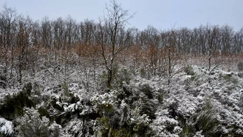 Nieve el El Morredero 