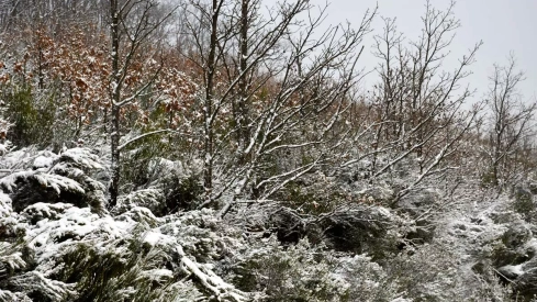 Nieve el El Morredero 