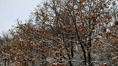 Nieve el El Morredero 