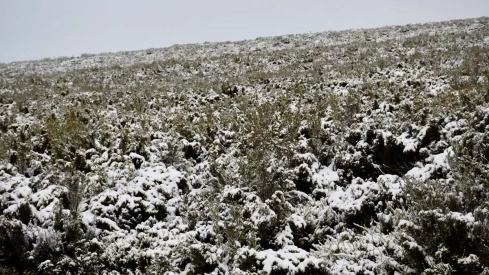 Nieve el El Morredero 