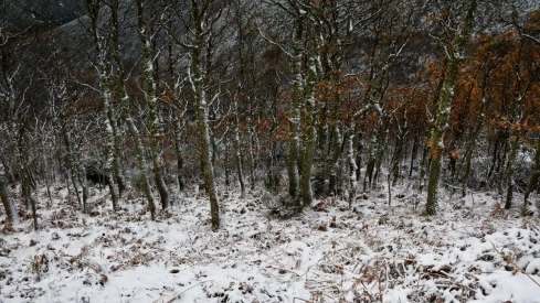 Nieve el El Morredero 