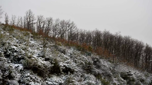 Nieve el El Morredero 
