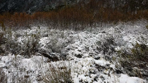 Nieve el El Morredero 