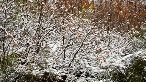 Nieve el El Morredero 