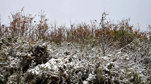 Nieve el El Morredero 