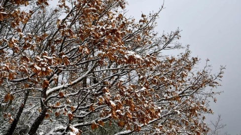 Nieve el El Morredero 