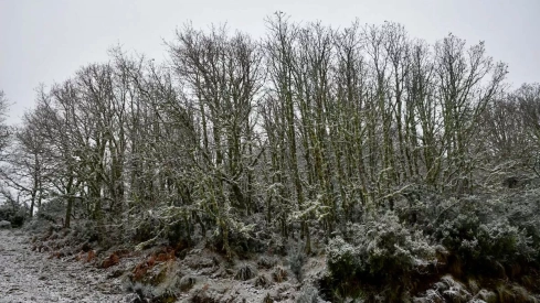 Nieve el El Morredero 