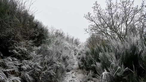 Nieve el El Morredero 