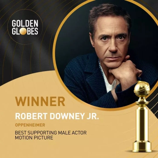 Robert Downey Jr Robert Downey Jr