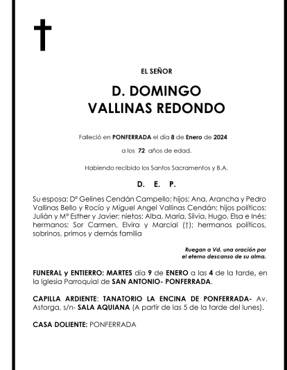 DOMINGO VALLINAS REDONDO