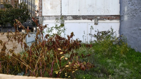 Plaza de Fernando Miranda 