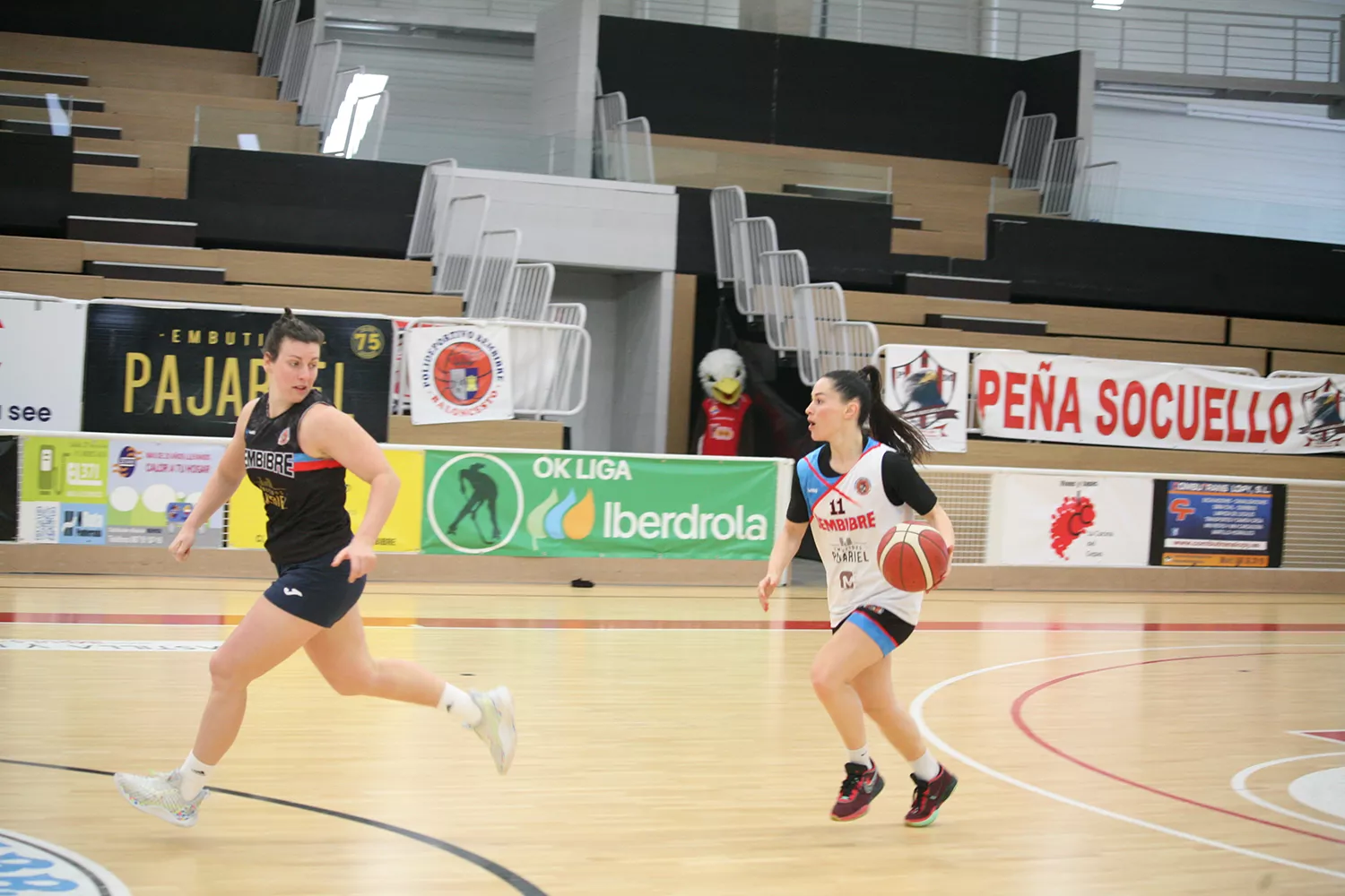 Embutidos Pajariel Bembibre: la ‘Operación Milagro’ arranca con Casademont Zaragoza