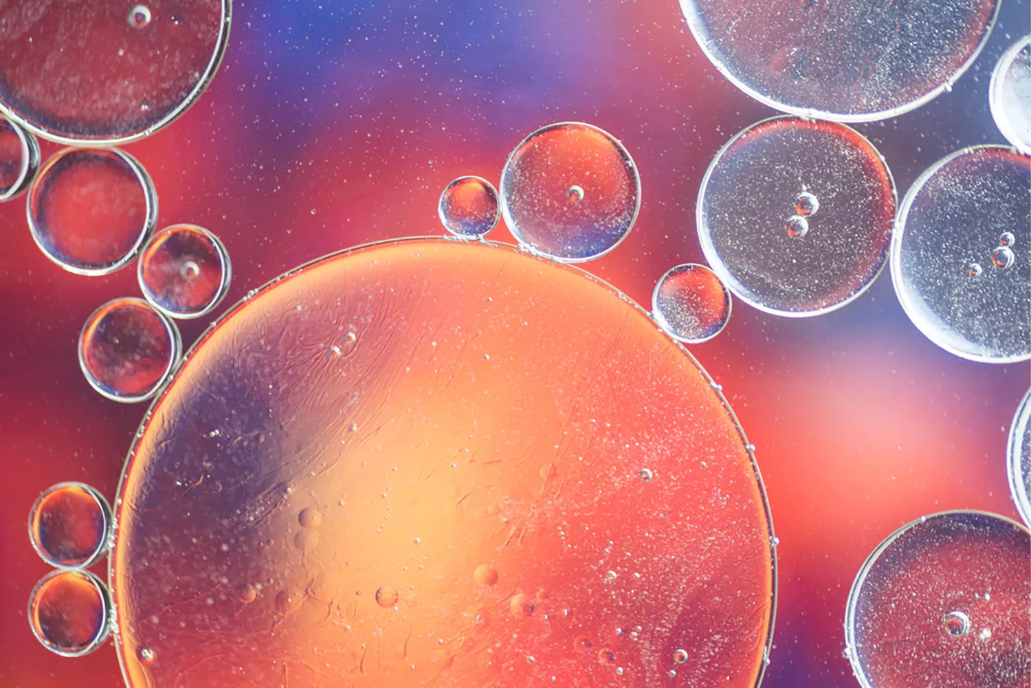 Ciencia para el invierno Ciencia para el invierno