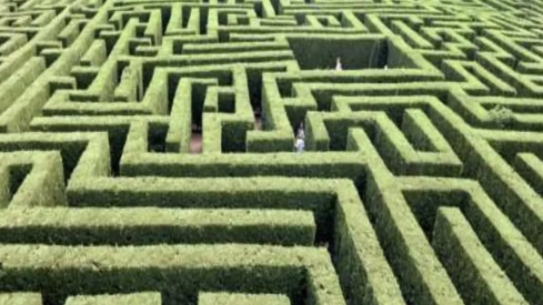Almanza (León) contará con el primer laberinto de Castilla y León