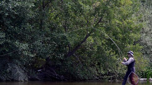 Agricultura destina más de diez millones en ayudas para la acuicultura y la comercialización de los productos de la pesca