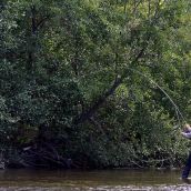 Agricultura destina más de diez millones en ayudas para la acuicultura y la comercialización de los productos de la pesca Agricultura destina más de diez millones en ayudas para la acuicultura y la comercialización de los productos de la pesca