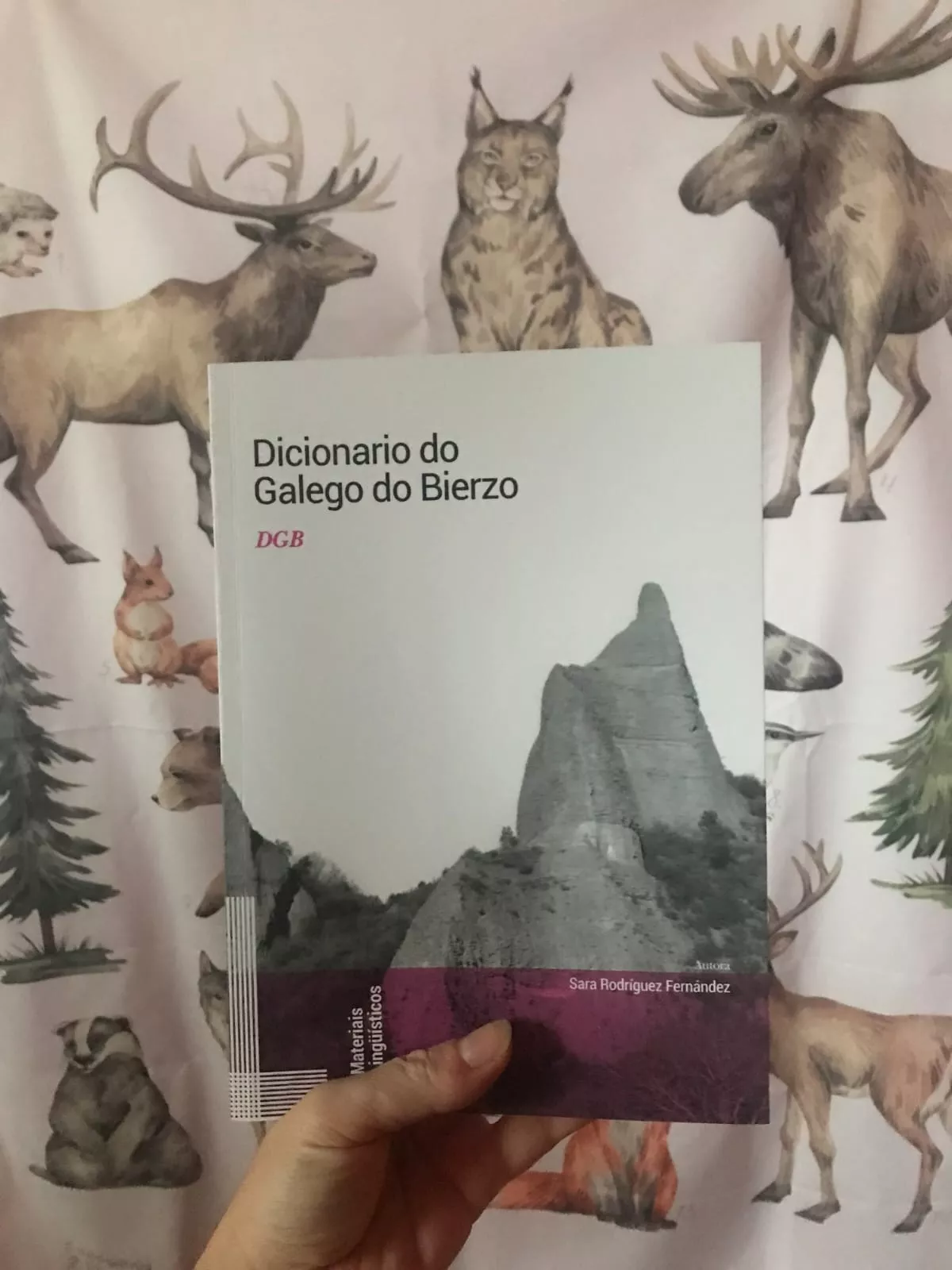  'O Dicionario do Galego do Bierzo' de Sara Rodríguez (2)