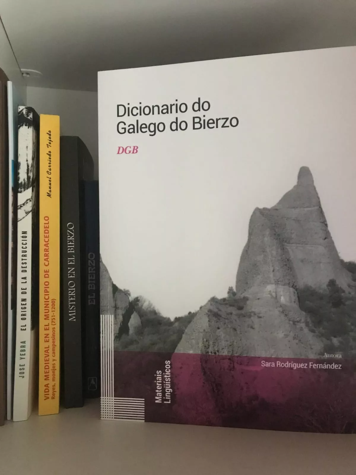  'O Dicionario do Galego do Bierzo' de Sara Rodríguez (3)