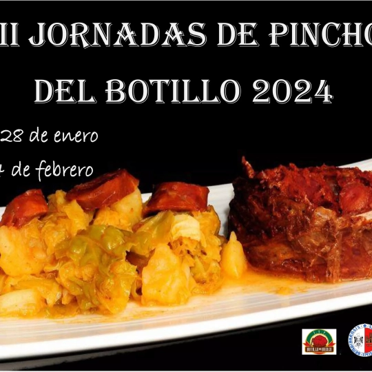 Cartel Jornadas de Pinchos del Botillo de Bembibre Cartel Jornadas de Pinchos del Botillo de Bembibre