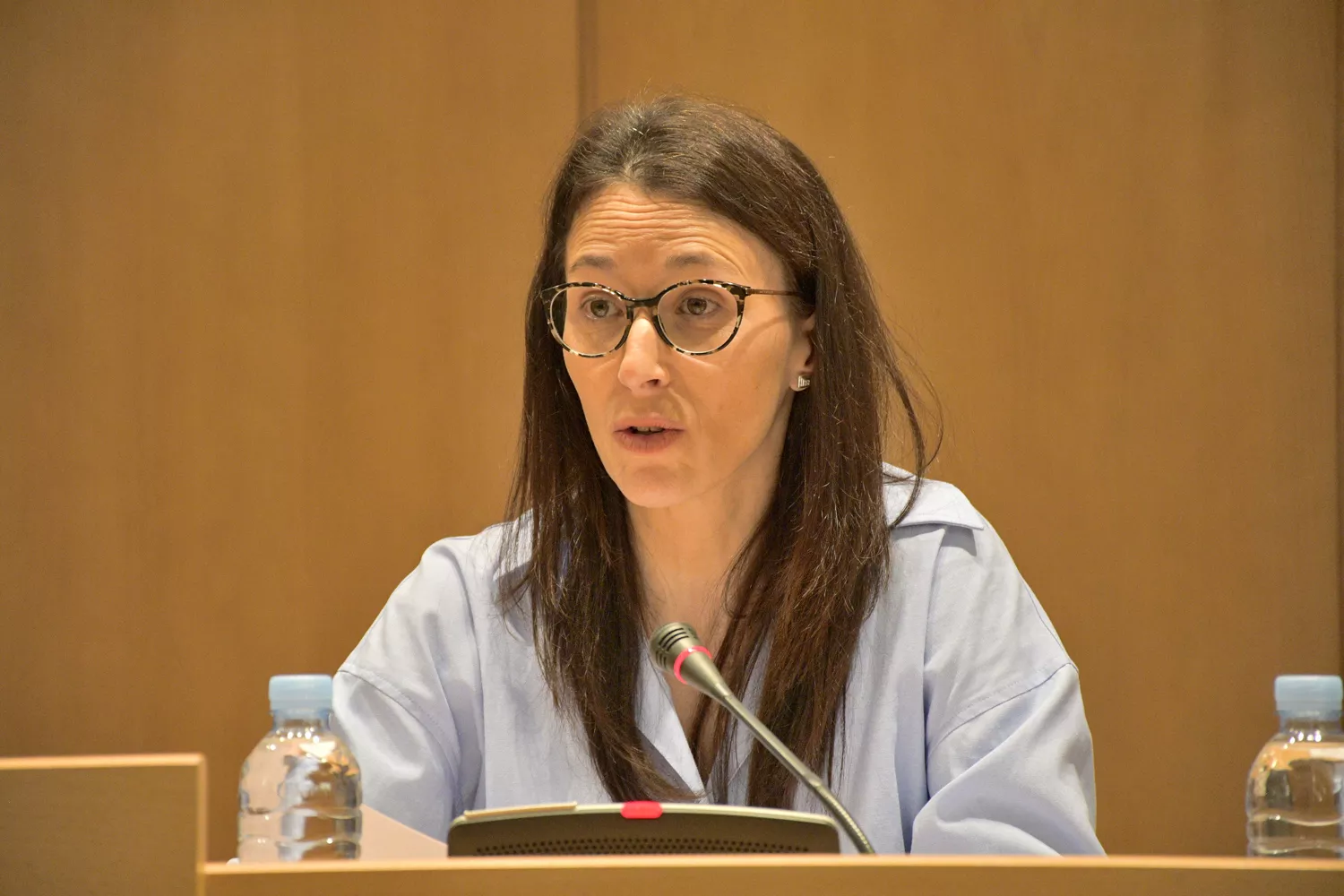 Carnaval 2024 (3) 1 Carnaval 2024 (3) 1