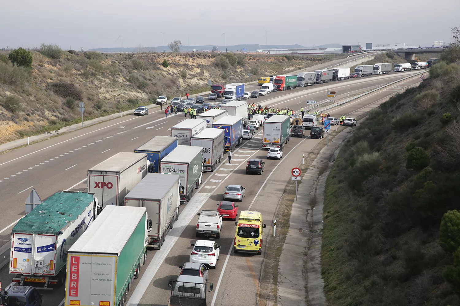 Tractorada Zamora Tractorada Zamora