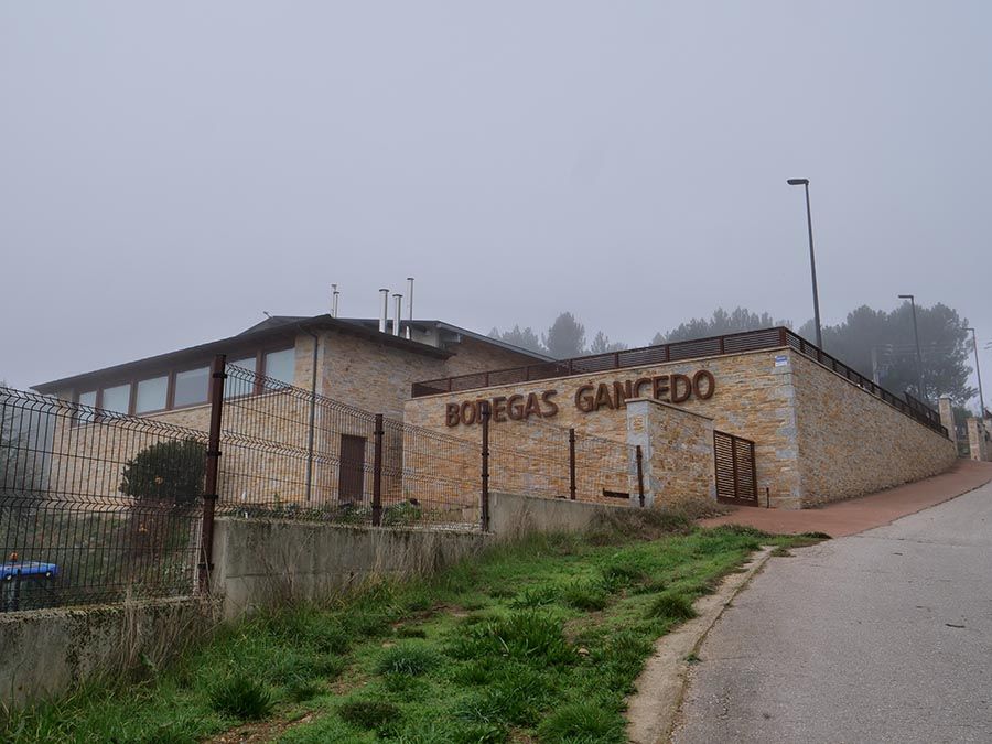bodegas-gancedo-7