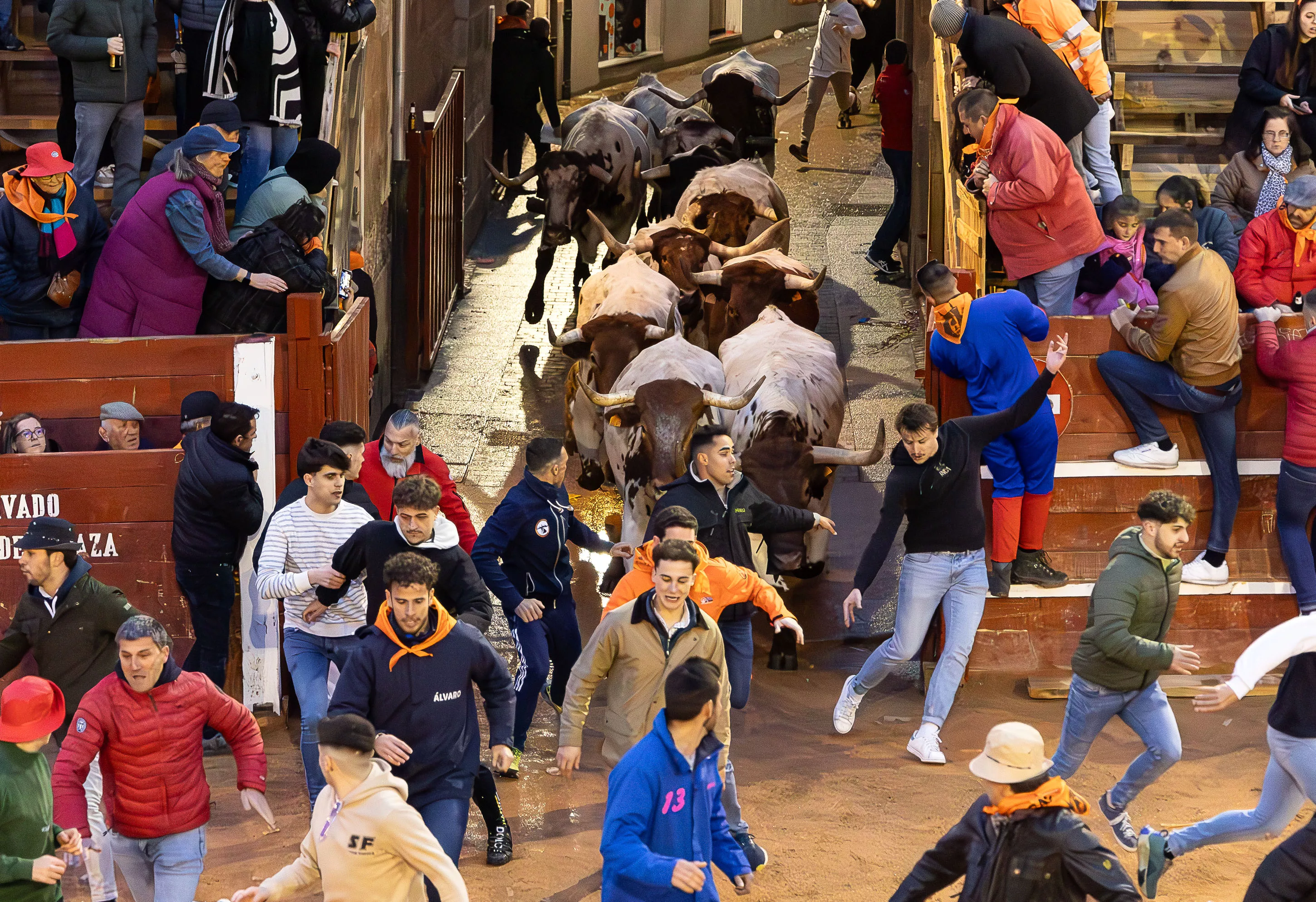 Carnaval del Toro en Ciudad Rodrigo (Salamanca)