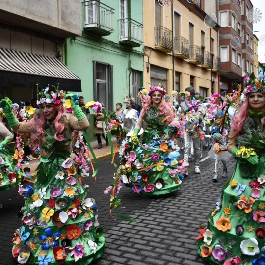  Álbum de fotos del Carnaval de Toral de los Vados