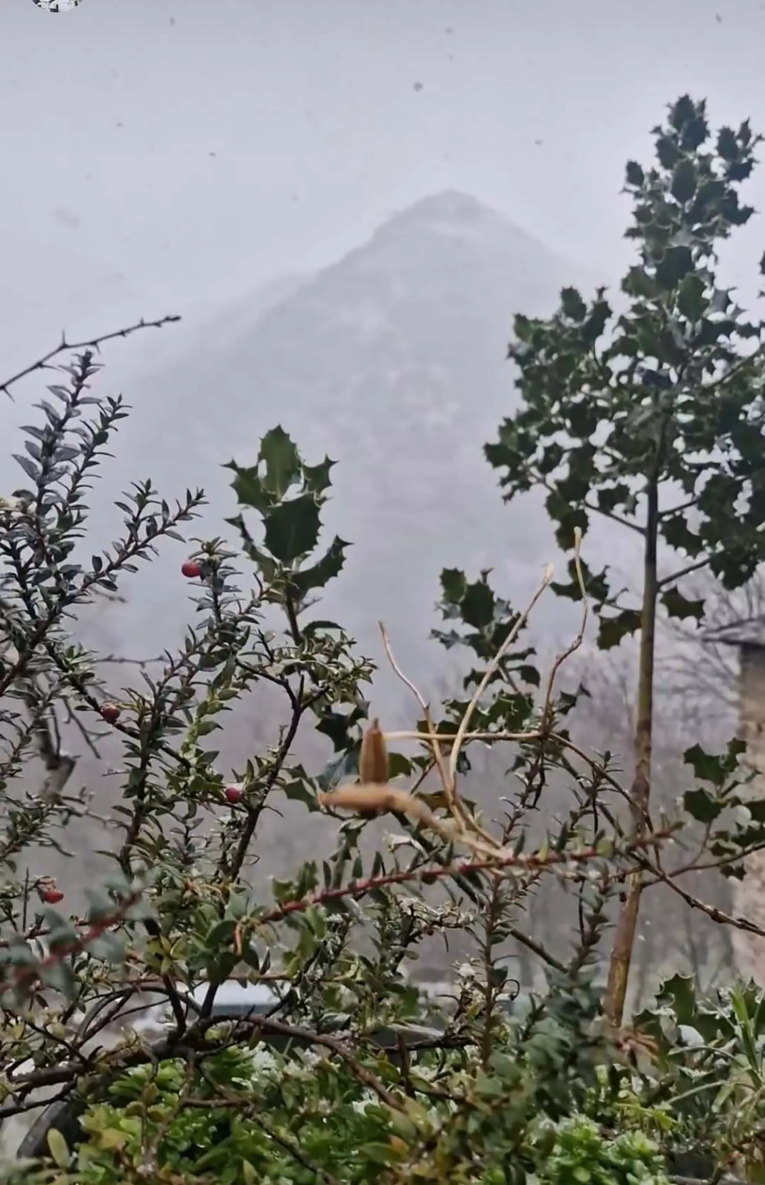 Nieve en La cantina de Peñalba Nieve en La cantina de Peñalba
