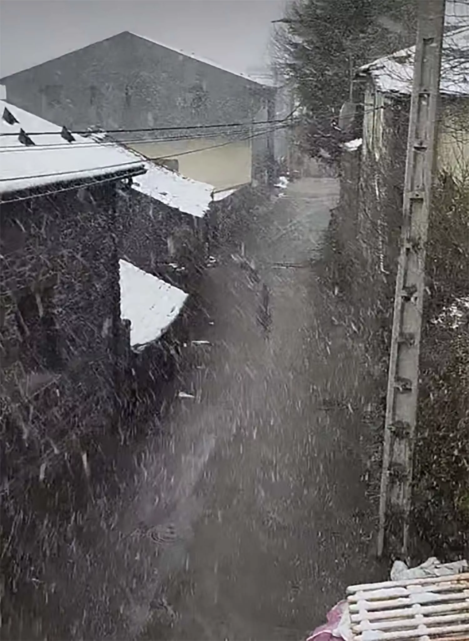 Nieve Valle de Fornela Nieve Valle de Fornela