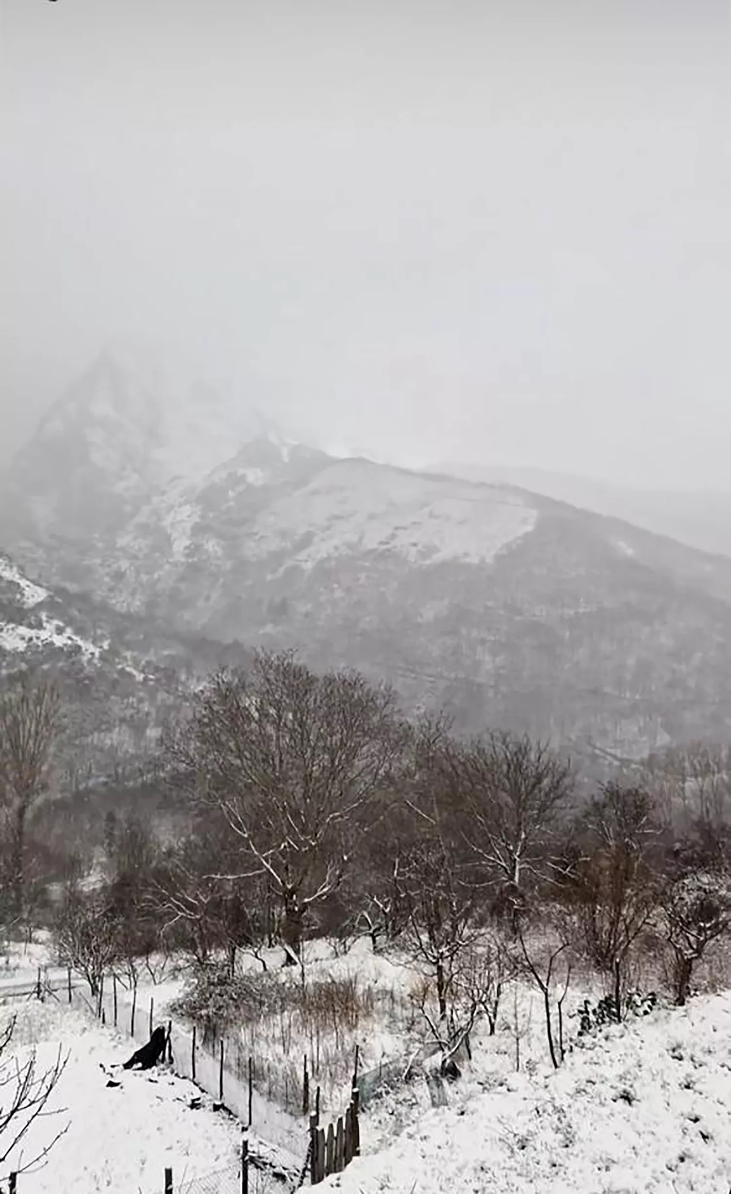 Foto: La Cantina de Peñalba