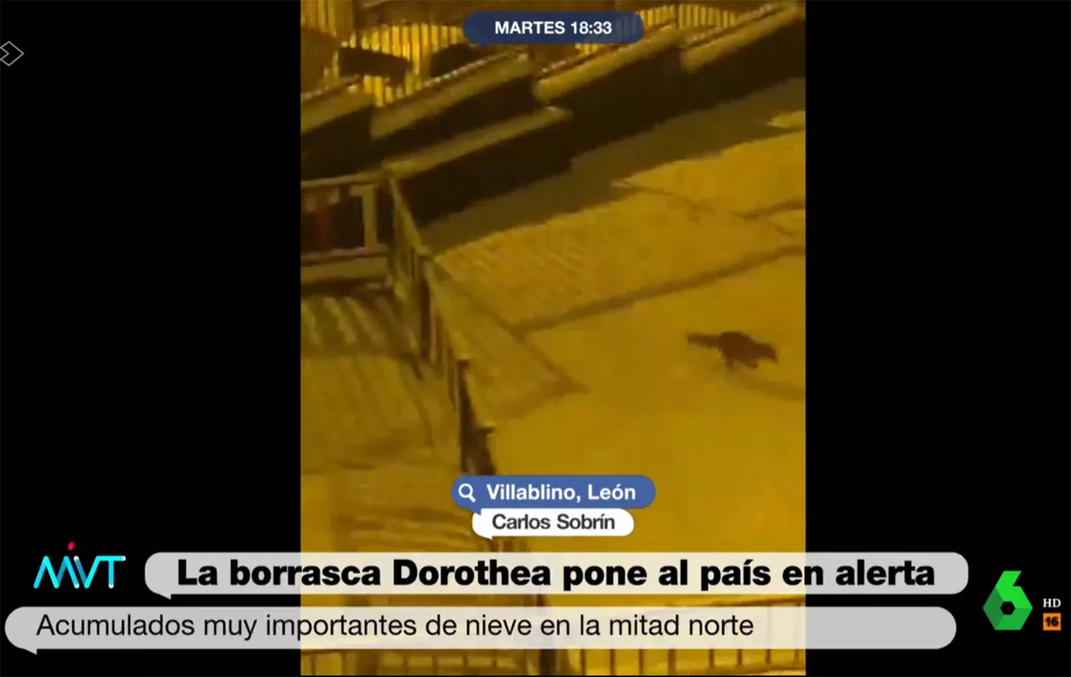 Zorro de Villablino en Más Vale Tarde La Sexta