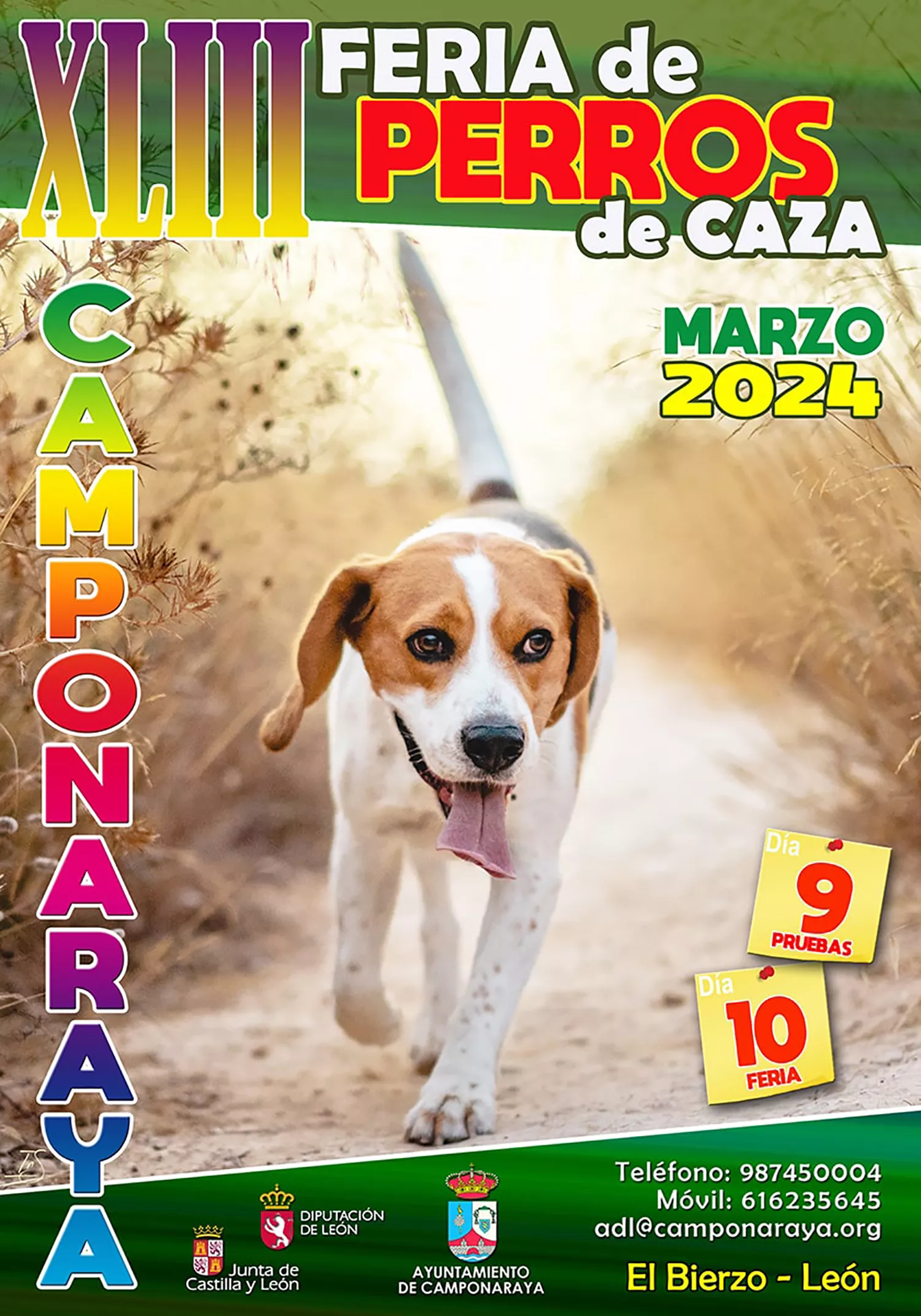 Cartel Feria Perros de Caza de Camponaraya 2024 Cartel Feria Perros de Caza de Camponaraya 2024