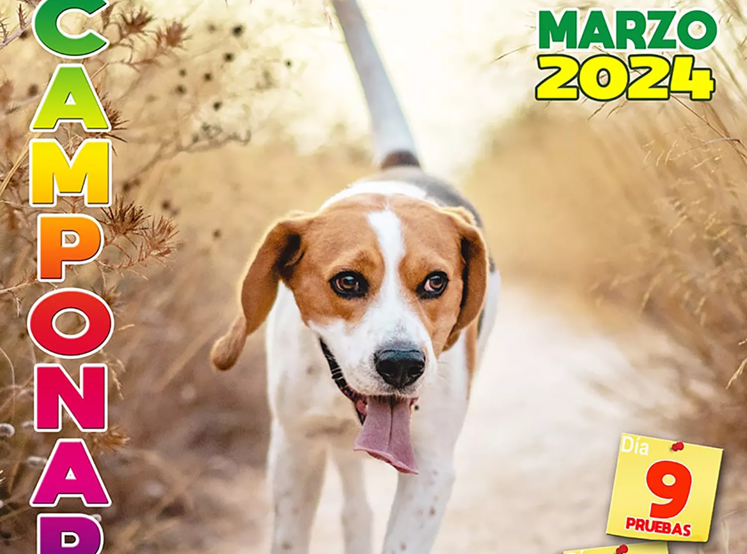 Feria de Perros de Caza Camponaraya 2024 