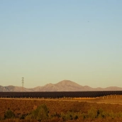 Iberdrola suministrará energía limpia de su fotovoltaica palentina a los centros de Alcampo en España Iberdrola suministrará energía limpia de su fotovoltaica palentina a los centros de Alcampo en España
