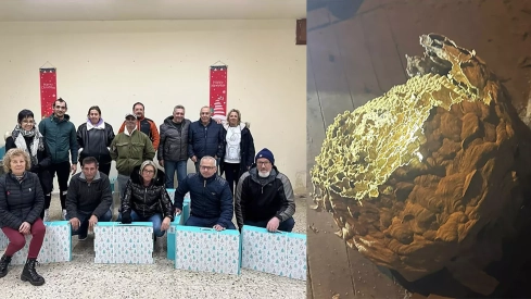 La actuación de Protección Civil de Toreno contra la avispa asiática les concede la mención al Mérito de Castilla y León