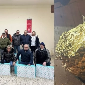 La actuación de Protección Civil de Toreno contra la avispa asiática les concede la mención al Mérito de Castilla y León